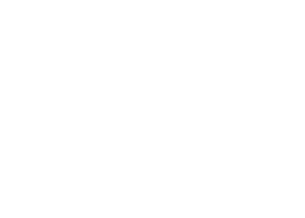 Alex-eng-white-logo.png